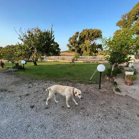 ベッド・アンド・ブレックファスト The Arches House Iun F1092 3*