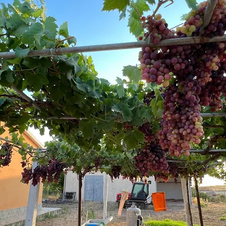 The Arches House Iun F1092 Bed and breakfast Alguer