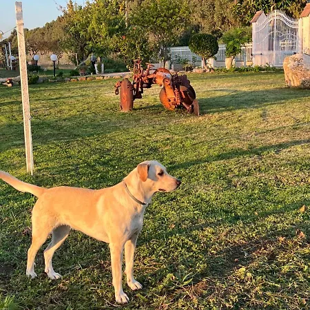 The Arches House Iun F1092 3* Alguer