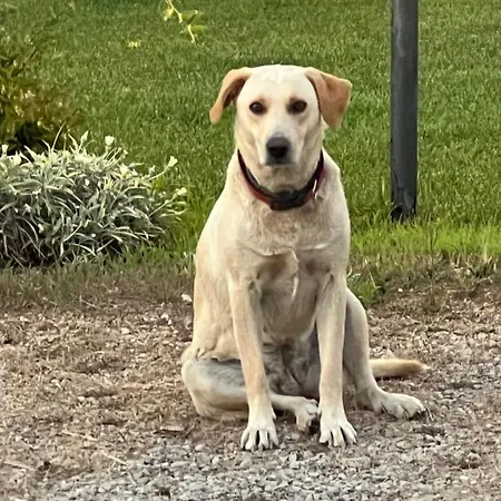 Oda ve Kahvaltı The Arches House Iun F1092 3*