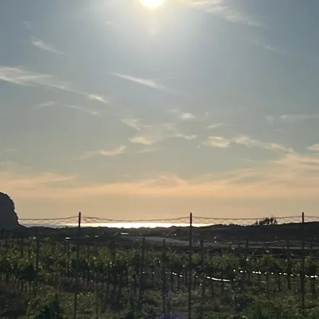 Frühstückspension The Arches House Iun F1092 3*