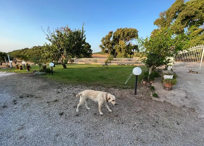 ベッド・アンド・ブレックファスト The Arches House Iun F1092 3*