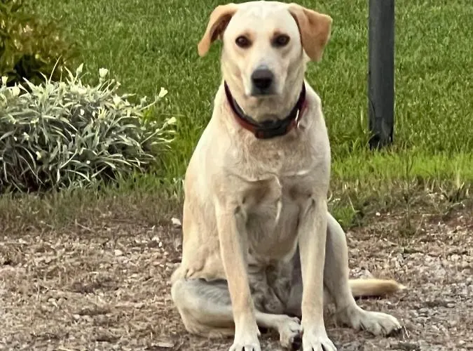 Frühstückspension The Arches House Iun F1092 3*